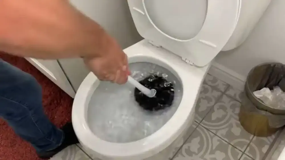 Toilet brush in a toilet bowl
